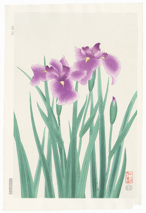 Irises by Nisaburo Ito (1910 - 1988)