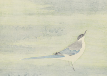 Azure-winged Magpie by Hoshun Yamaguchi (1893 - 1971)