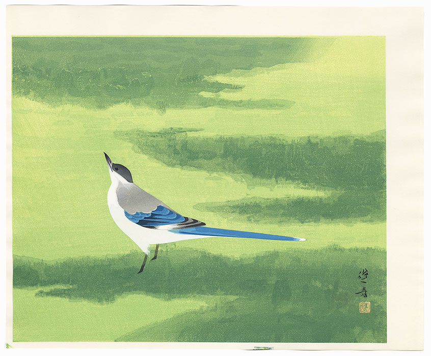 Azure-winged Magpie by Hoshun Yamaguchi (1893 - 1971)
