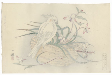 Cockatoo on a Basket of Orchids by Ichiro (dates unknown)