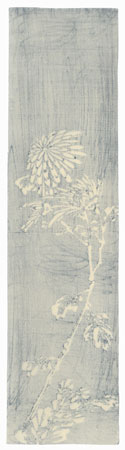 Chrysanthemum Tanzaku Print by Shin-hanga & Modern artist (unsigned)