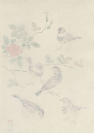 Rosy Finch and Wild Rose by Shizuo Ashikaga (1917 - 1991)