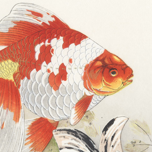 Goldfish by Rakusan Tsuchiya (1896 - 1976)