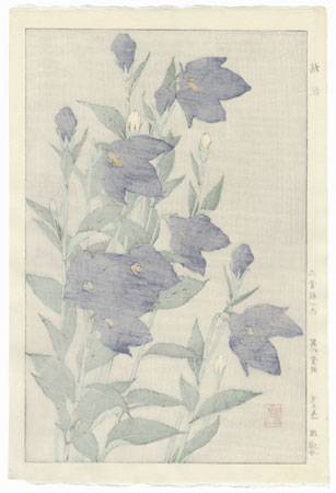 Bellflower by Kawarazaki Shodo (1889 - 1973)