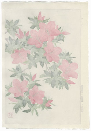 Pink Azalea by Kawarazaki Shodo (1889 - 1973)