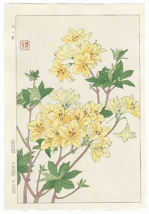 Yellow Azalea by Kawarazaki Shodo (1889 - 1973)