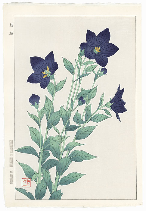 Bellflower by Kawarazaki Shodo (1889 - 1973)