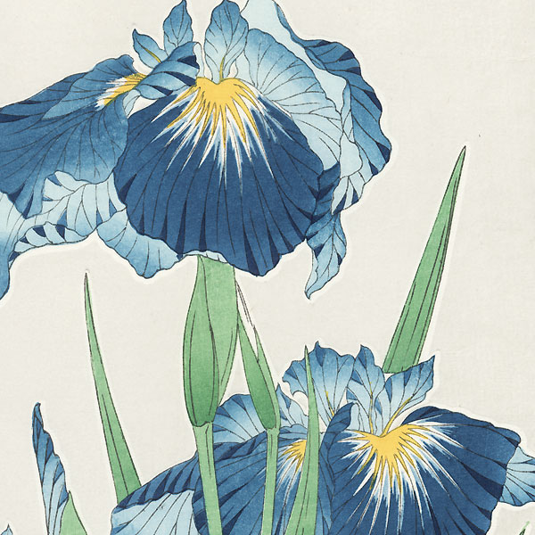Blue Irises by Kawarazaki Shodo (1889 - 1973)