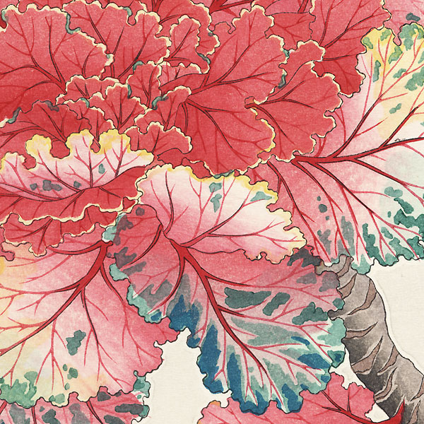 Ornamental Cabbage by Kawarazaki Shodo (1889 - 1973)