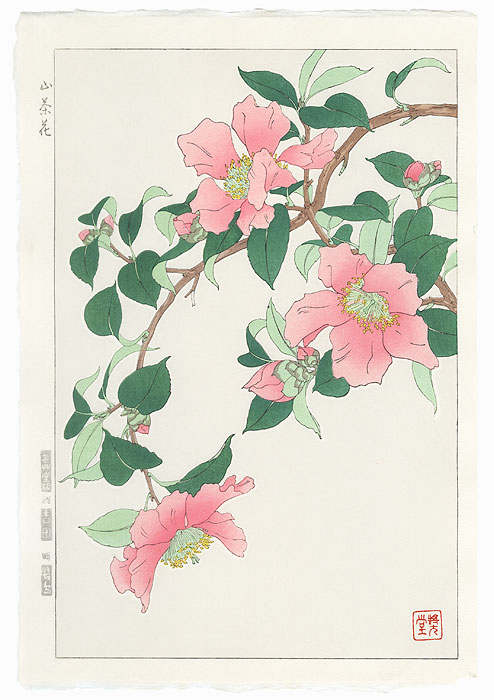 Pink Camellia by Kawarazaki Shodo (1889 - 1973)
