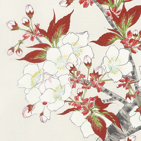 Cherry by Kawarazaki Shodo (1889 - 1973)
