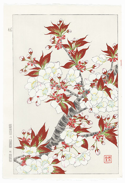 Cherry by Kawarazaki Shodo (1889 - 1973)