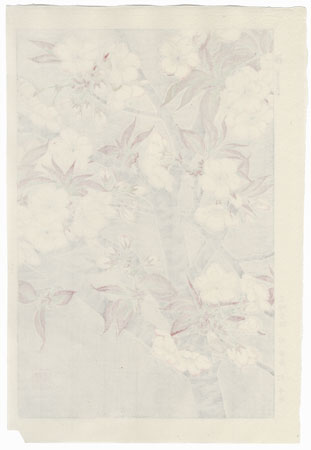 Yoshino Cherry Blossoms (Left) by Kawarazaki Shodo (1889 - 1973)