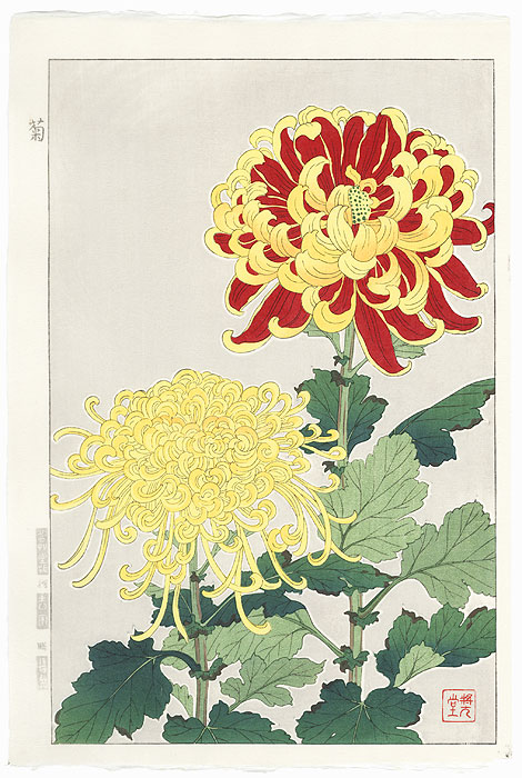 Chrysanthemum by Kawarazaki Shodo (1889 - 1973)
