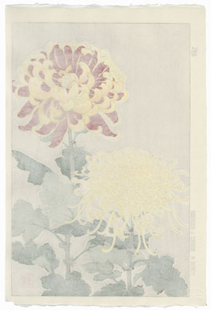 Chrysanthemum by Kawarazaki Shodo (1889 - 1973)