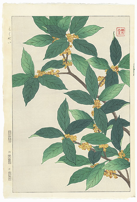 Fragrant Olive by Kawarazaki Shodo (1889 - 1973)