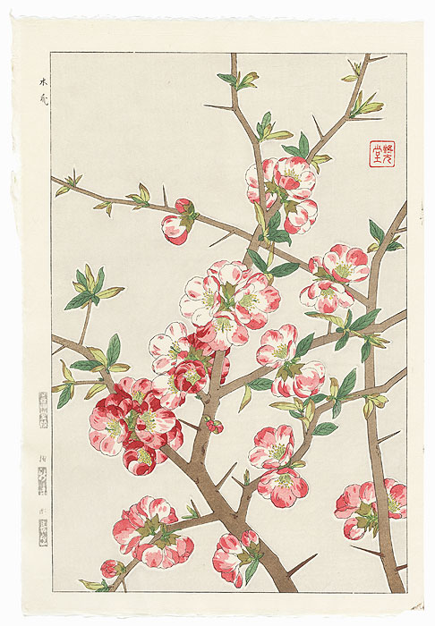 Heath Rose by Kawarazaki Shodo (1889 - 1973)