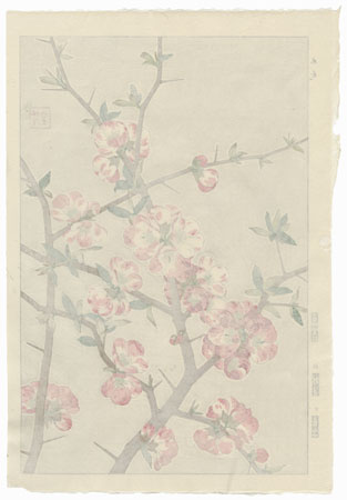 Heath Rose by Kawarazaki Shodo (1889 - 1973)