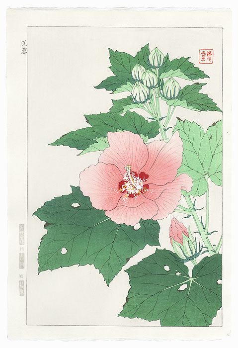 Hibiscus and Buds by Kawarazaki Shodo (1889 - 1973)