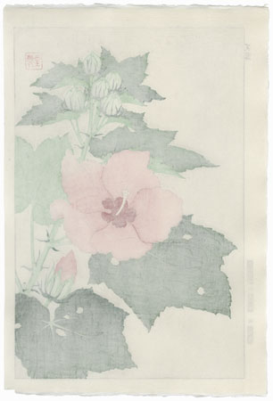 Hibiscus and Buds by Kawarazaki Shodo (1889 - 1973)
