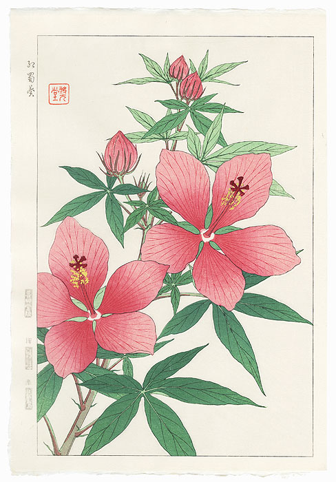 Pink Hibiscus by Kawarazaki Shodo (1889 - 1973)