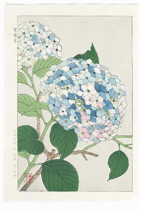Blue Hydrangea by Kawarazaki Shodo (1889 - 1973)