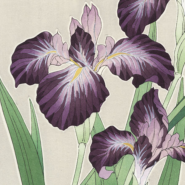 Purple Irises by Kawarazaki Shodo (1889 - 1973)