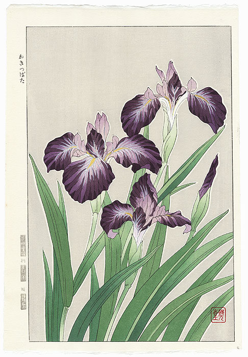 Purple Irises by Kawarazaki Shodo (1889 - 1973)