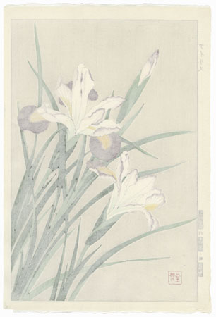 White and Purple Irises by Kawarazaki Shodo (1889 - 1973)