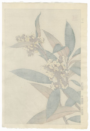 Loquat by Kawarazaki Shodo (1889 - 1973)