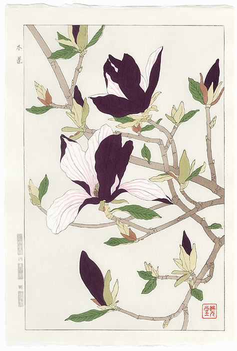 Magnolia by Kawarazaki Shodo (1889 - 1973)