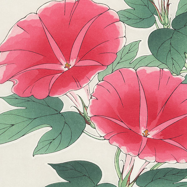 Pink Morning Glories by Kawarazaki Shodo (1889 - 1973)