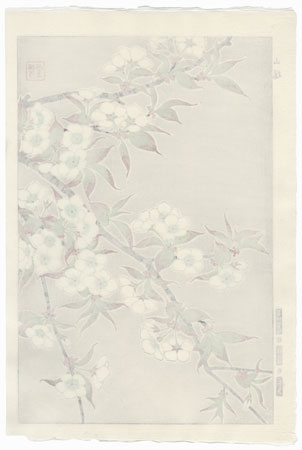 Mountain Cherry by Kawarazaki Shodo (1889 - 1973)