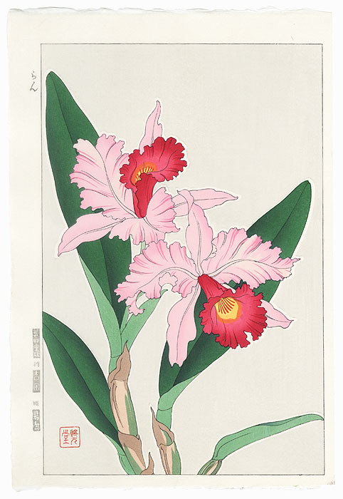 Pink Orchids by Kawarazaki Shodo (1889 - 1973)