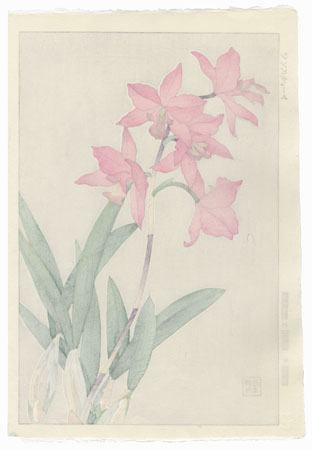 Orchids by Kawarazaki Shodo (1889 - 1973)