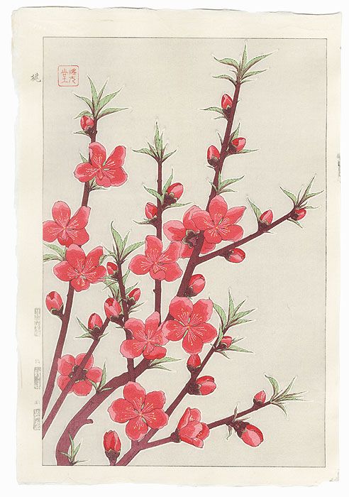 Peach by Kawarazaki Shodo (1889 - 1973)