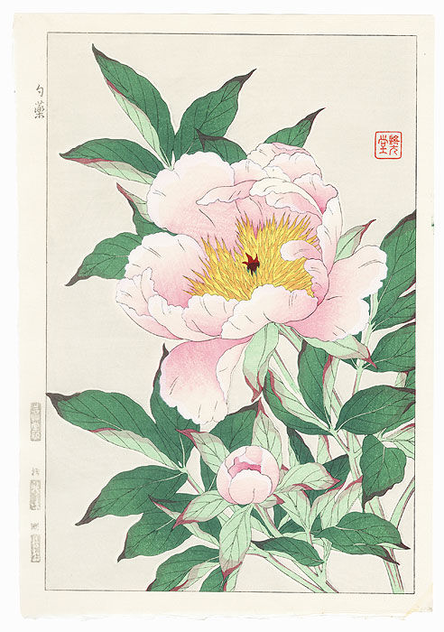 Light Pink Peony by Kawarazaki Shodo (1889 - 1973)
