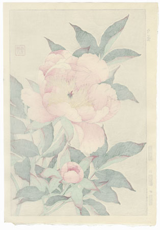 Light Pink Peony by Kawarazaki Shodo (1889 - 1973)