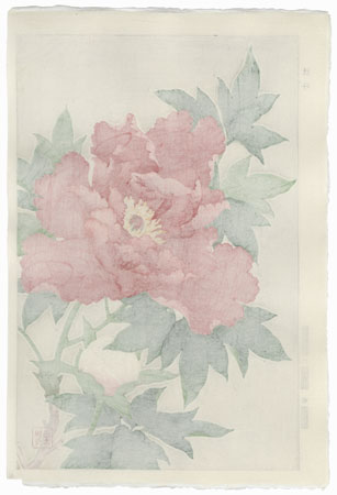 Red Peony by Kawarazaki Shodo (1889 - 1973)