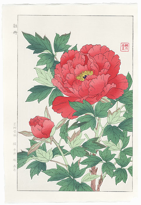 Red Peony and Bud by Kawarazaki Shodo (1889 - 1973)