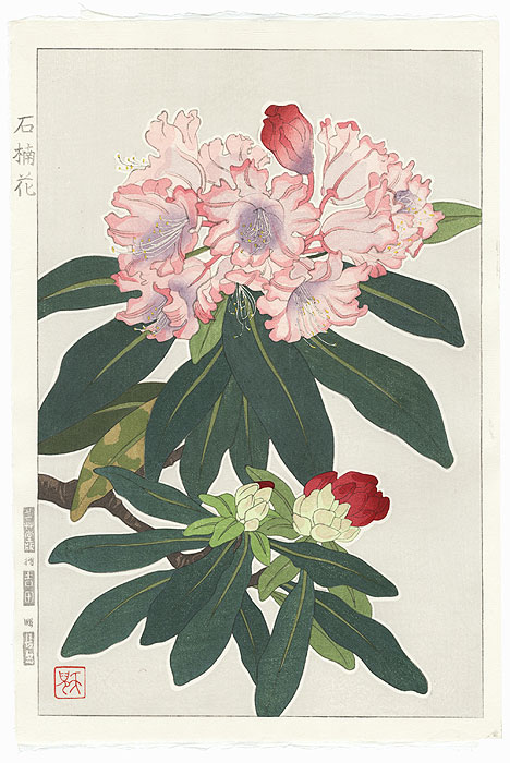 Tree Peony by Kawarazaki Shodo (1889 - 1973)