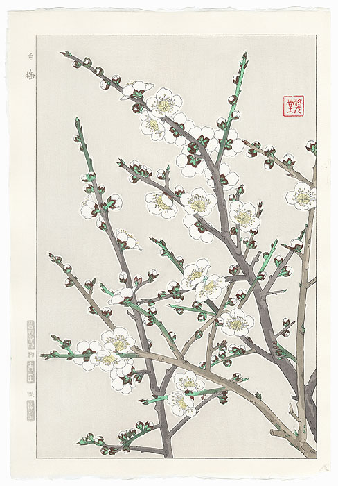 White Plum by Kawarazaki Shodo (1889 - 1973)