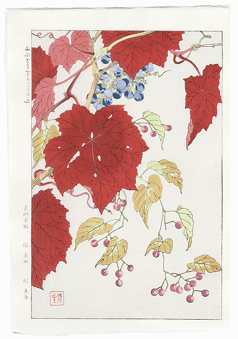 Wild Grape and Maruba-no-hiroshi by Kawarazaki Shodo (1889 - 1973)