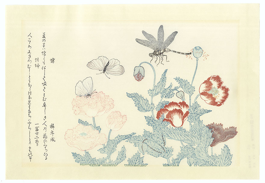 Butterfly and Dragonfly  by Utamaro (1750 - 1806)