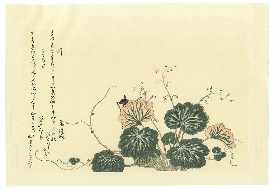 Earthworm and Cricket by Utamaro (1750 - 1806)