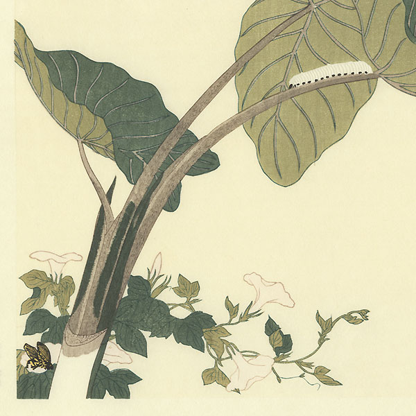 Horsefly and Green Caterpillar by Utamaro (1750 - 1806)