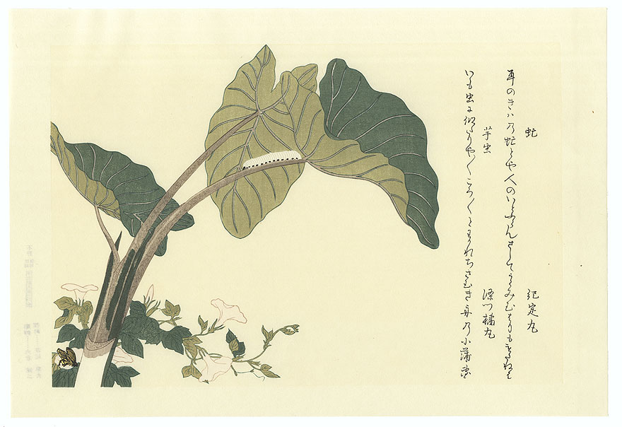 Horsefly and Green Caterpillar by Utamaro (1750 - 1806)