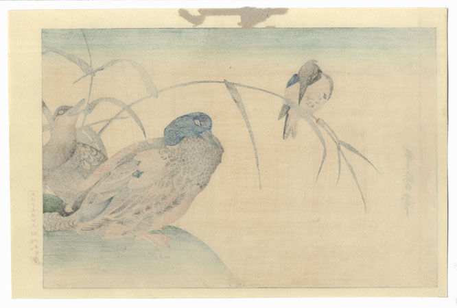 Mallard Ducks and Kingfisher by Utamaro (1750 - 1806)