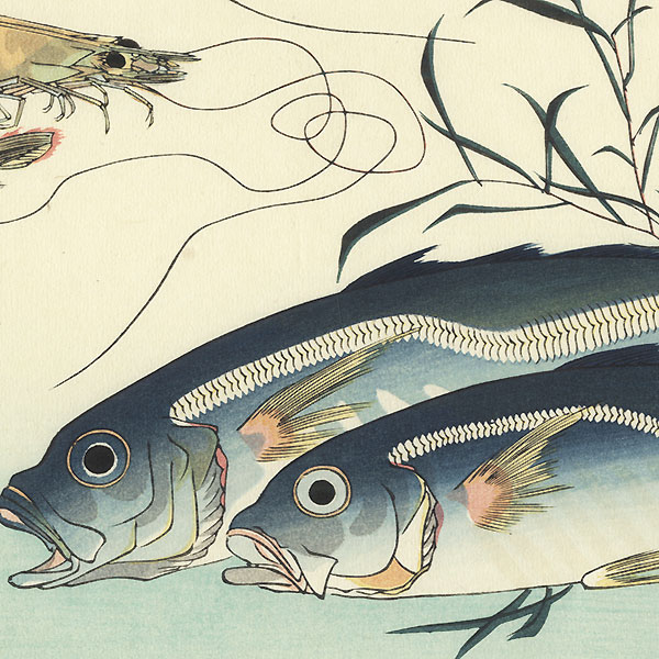 Two Fish and Two Shrimp by Hiroshige (1797 - 1858)