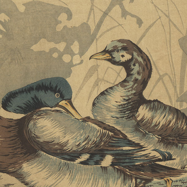Ducks by a Lotus Pond by Kiyochika (1847 - 1915)